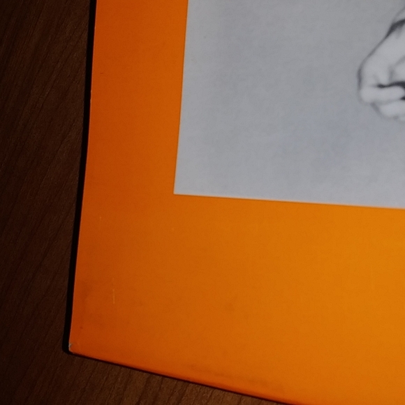 Unseen Elvis (hardcover), candids of the king - Picture 5 of 16